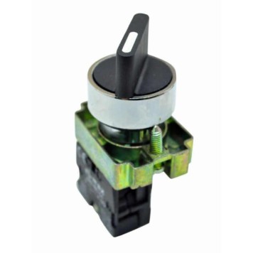 Metal Buton TIANYI LAY5-BD21