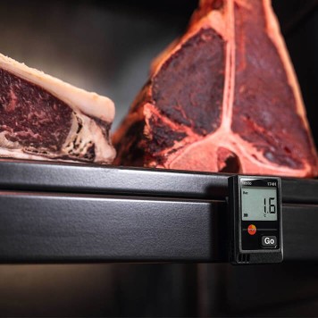 TESTO 174H Sıcaklık ve Nem Kayıt Datalogger-2