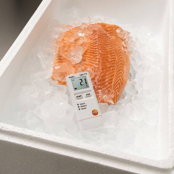 TESTO 184 T3 Nakliye İzleme Sıcaklık Datalogger-2