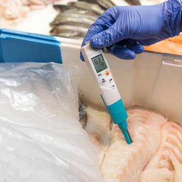 TESTO 206 pH1 pH ve Sıcaklık Ölçer-2